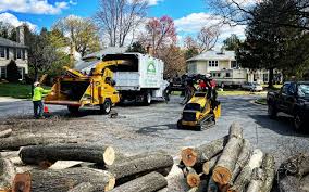 Lawn Renovation and Restoration in Carmel By The Sea, CA